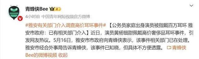 全网破案！父亲公务员履历被扒开元棋牌黄杨钿甜天价耳环引(图3)