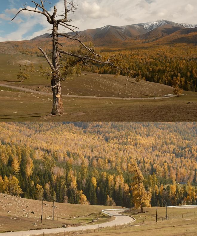 排10月报团游新疆16天小团安排纯玩开元棋牌10月报团游新疆十六天最佳安(图3)